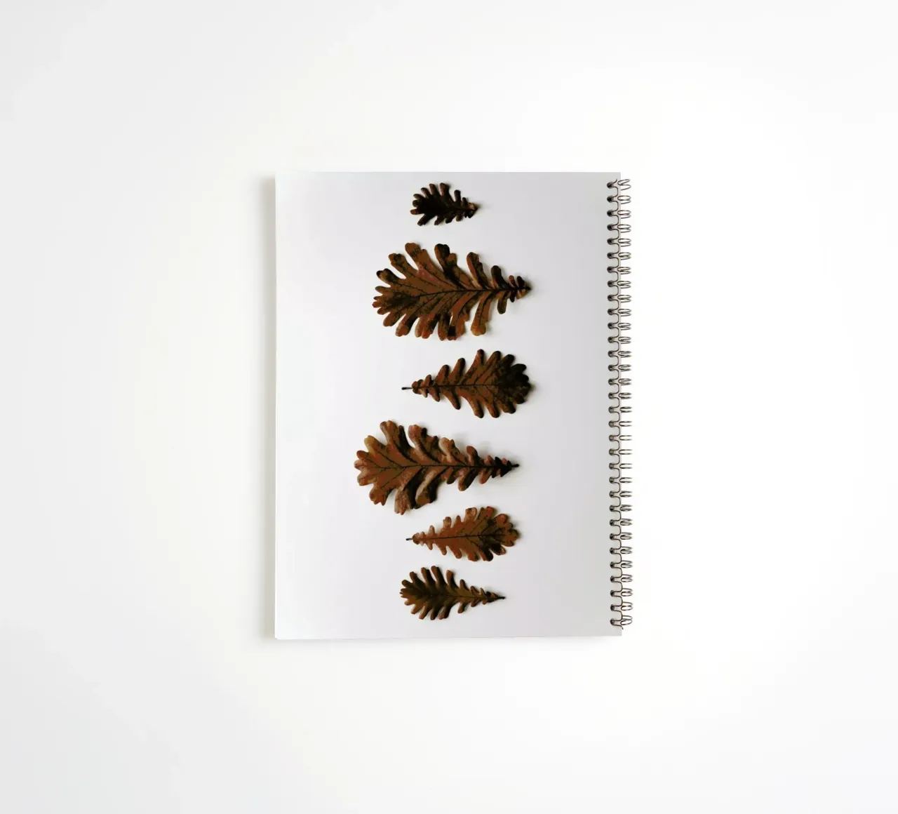Shapes Oak Leafs spiral notebook by Studio Nahili