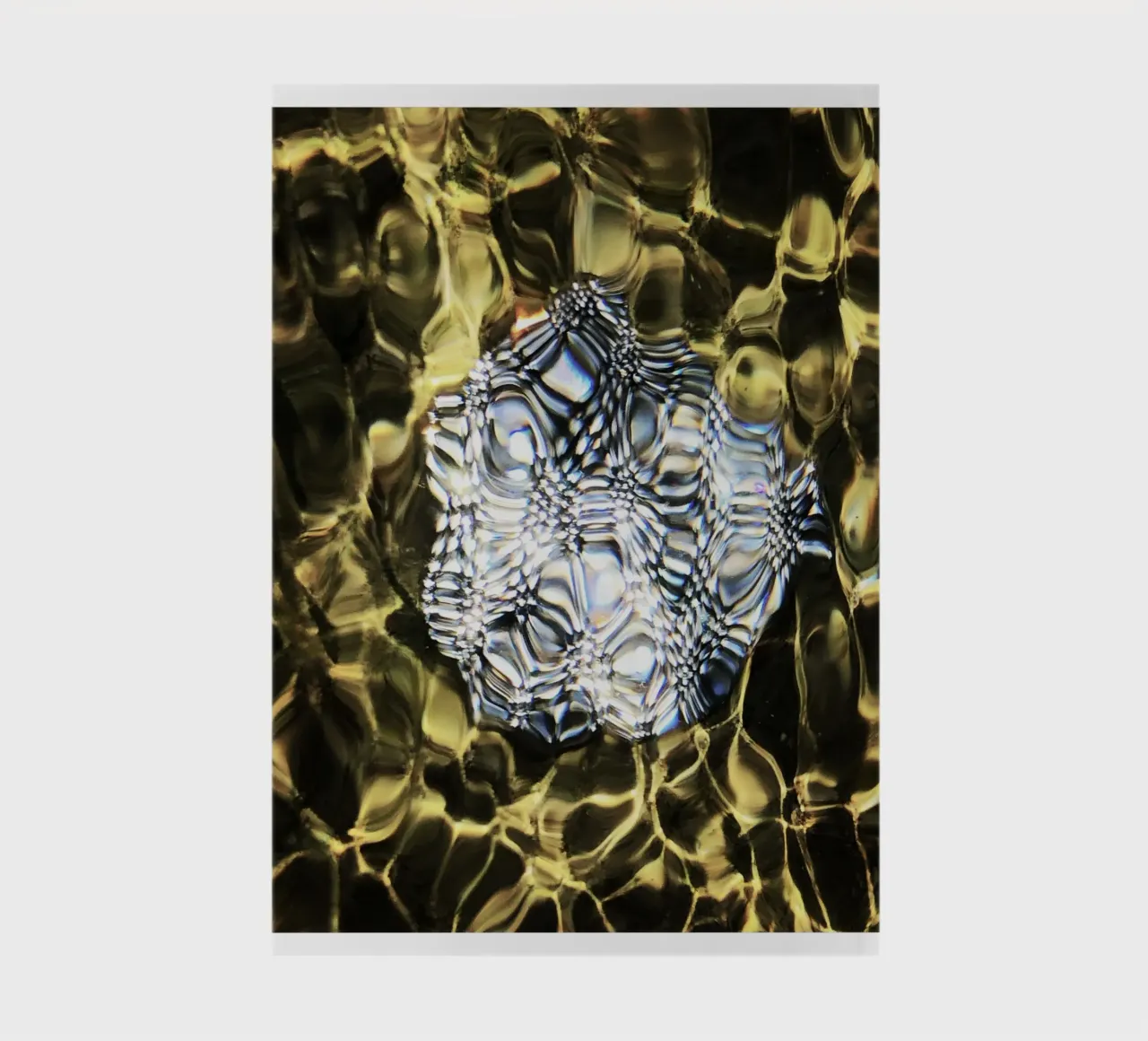 princess brooch die Brosche der Prinzessin carnet de notes de Alicia´s