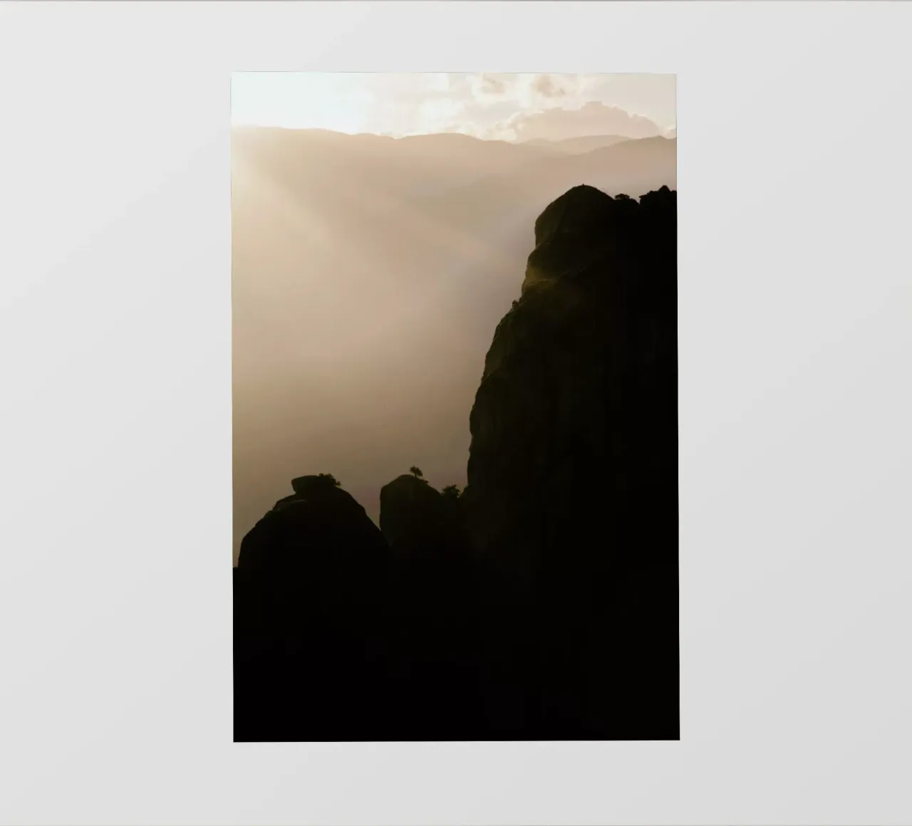 The Tiny Strong Tree pellicola backlit da Studio Nahili