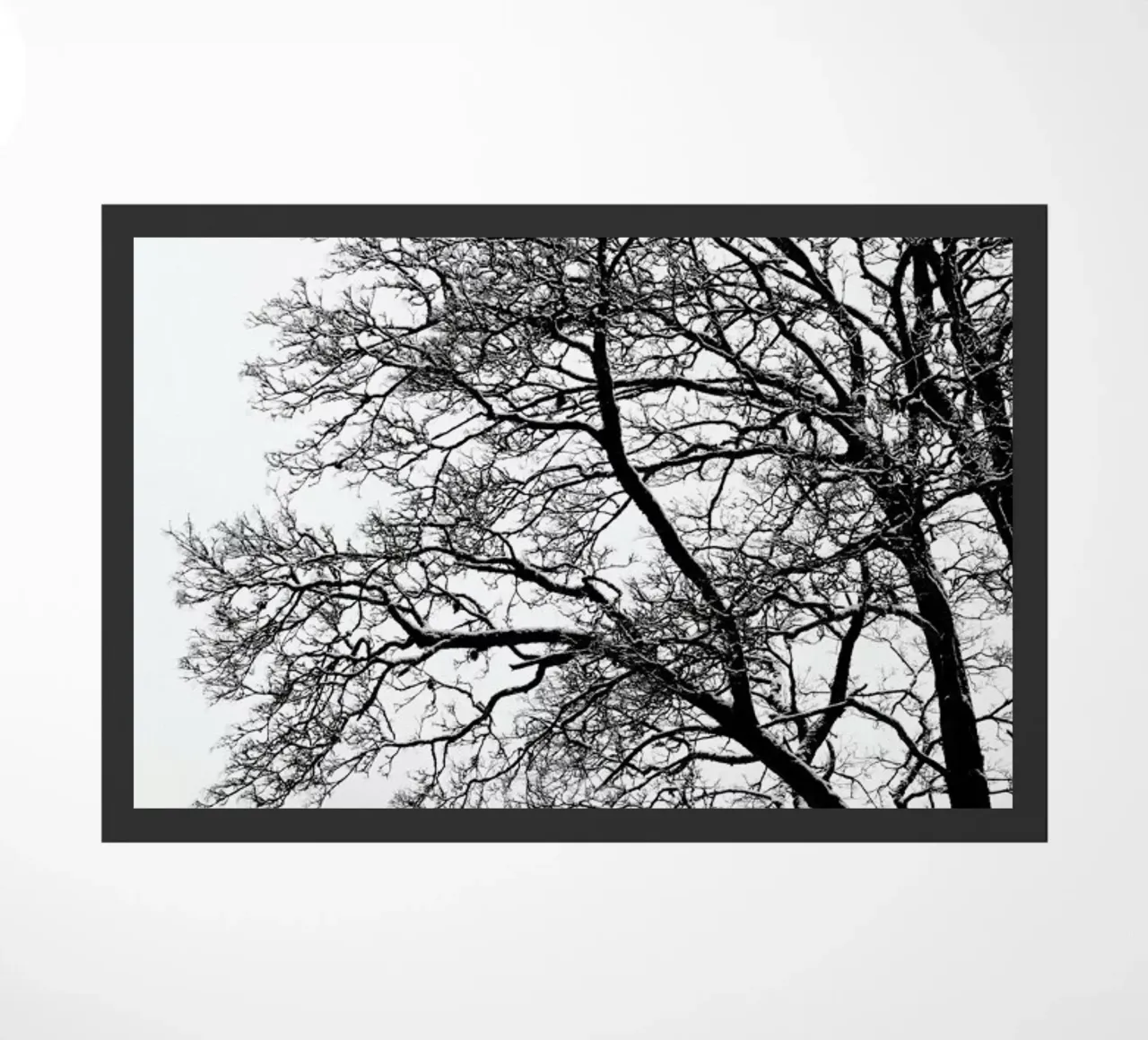 Black & White Abstract Winter Tree zerbino da Studio Nahili
