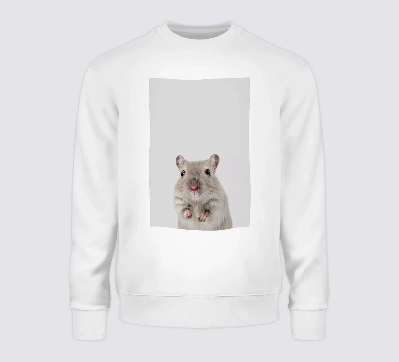 Mouse sweatshirt by Paws & Claws