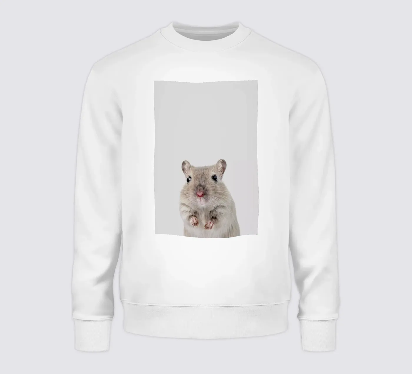 Mouse felpa da Paws & Claws