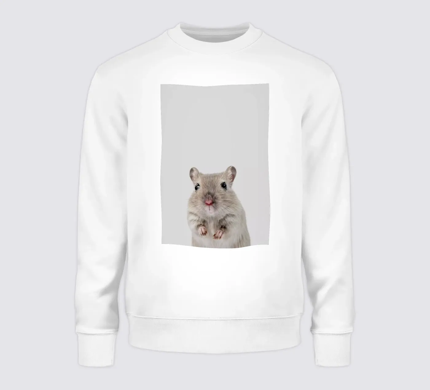 Mouse felpa da Paws & Claws
