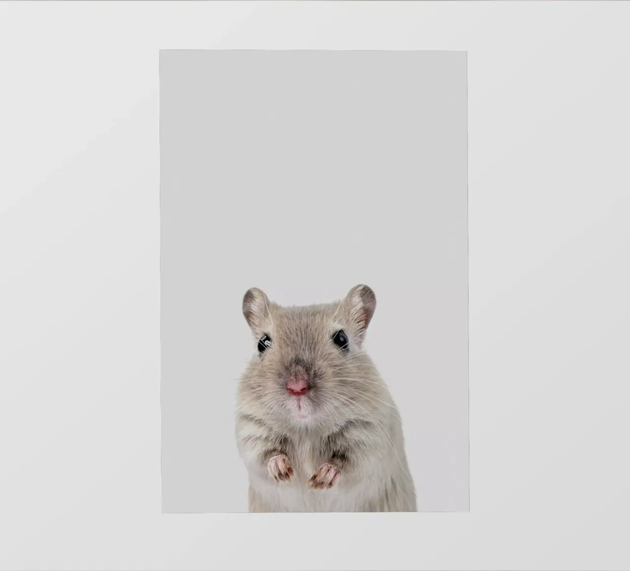 Mouse pellicola backlit da Paws & Claws