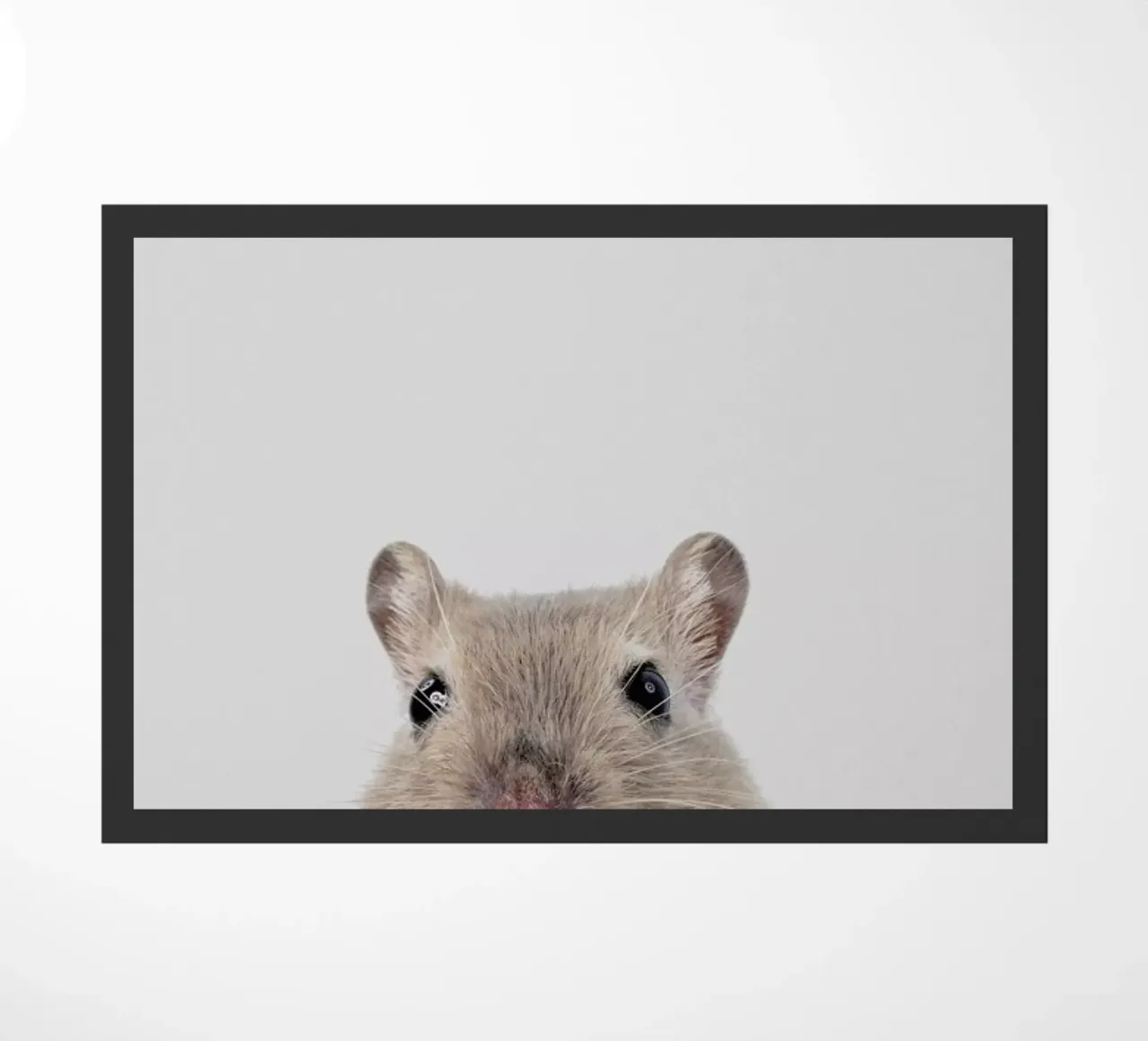Mouse zerbino da Paws & Claws