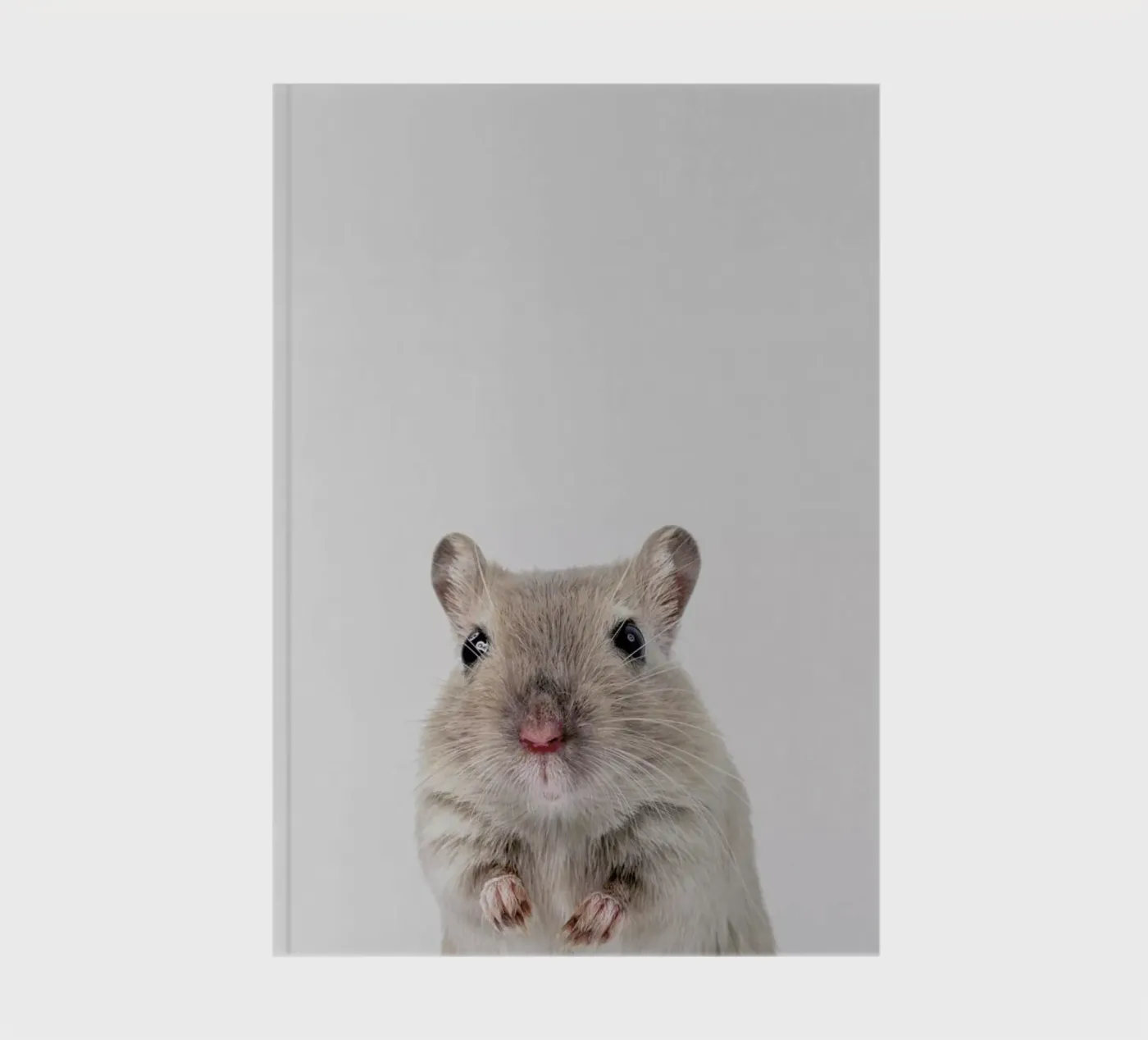 Mouse notebook by Paws & Claws