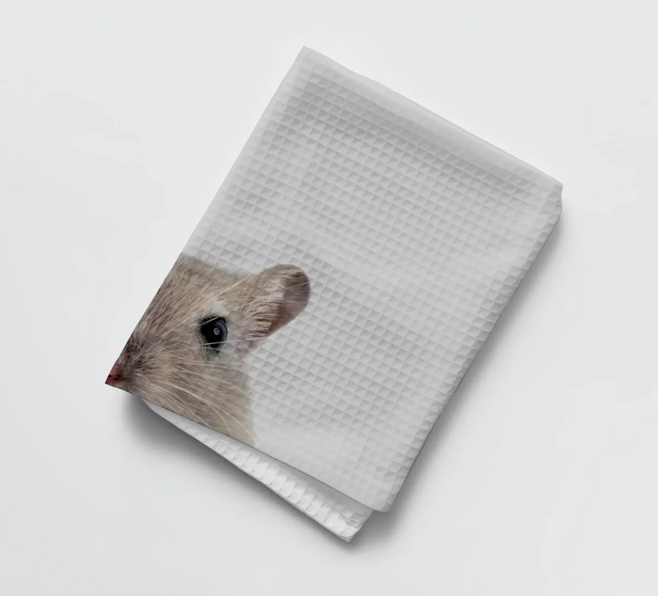 Mouse canovaccio da cucina da Paws & Claws