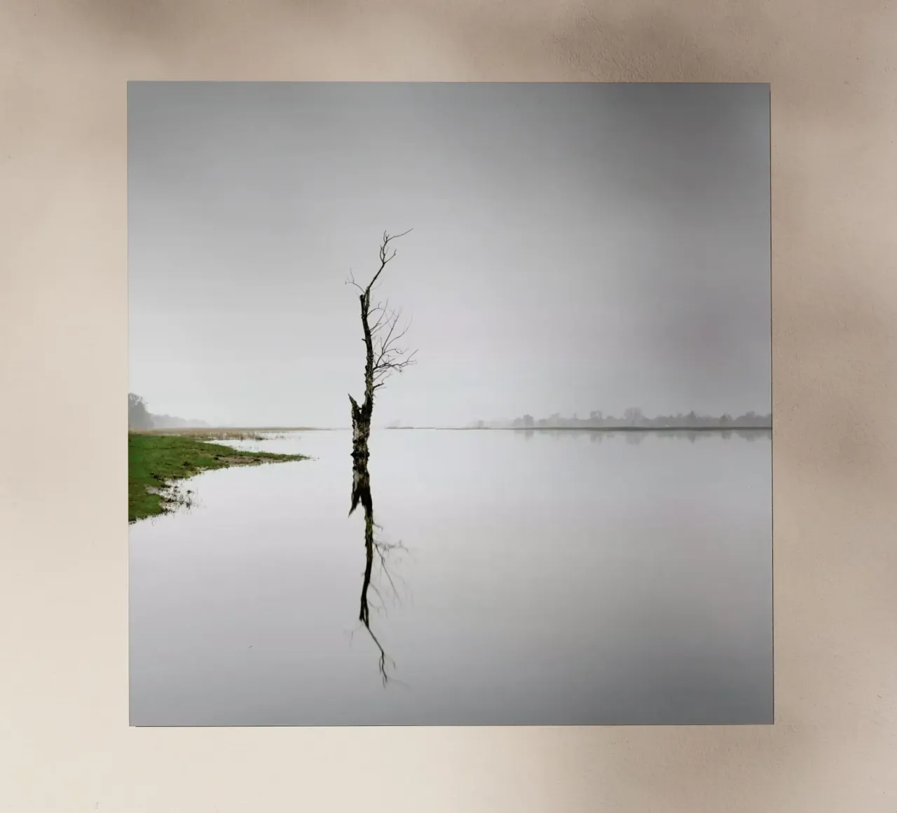 Oderbruch Ii | Brandenburg 2020 pellicola backlit da Håggard Photography | Ronny Behnert