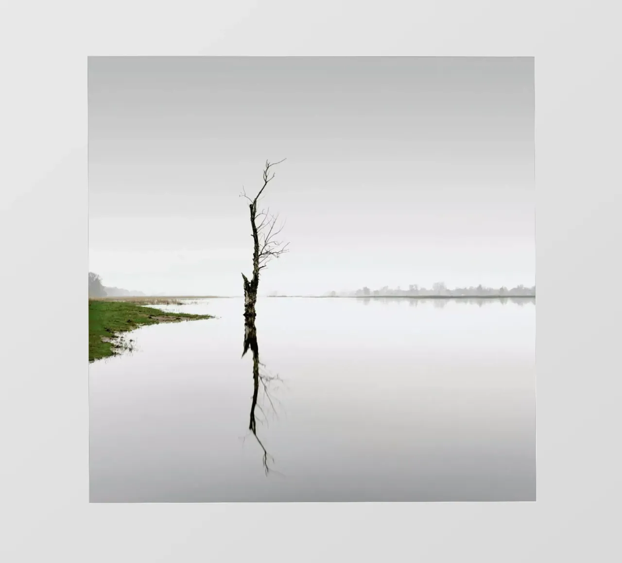 Oderbruch Ii | Brandenburg 2020 pellicola backlit da Håggard Photography | Ronny Behnert