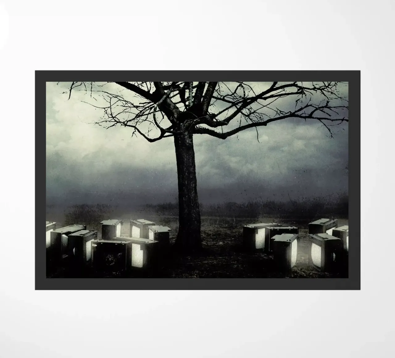 pa 2009-02 zerbino da Sarolta Bán