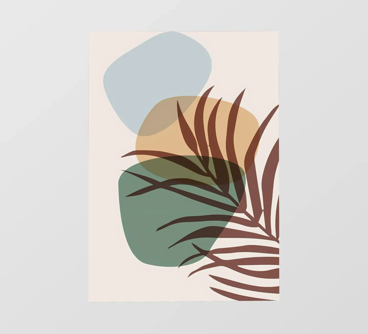 forme astratte foglie foglie di palma pellicola backlit da Janine P McGuire