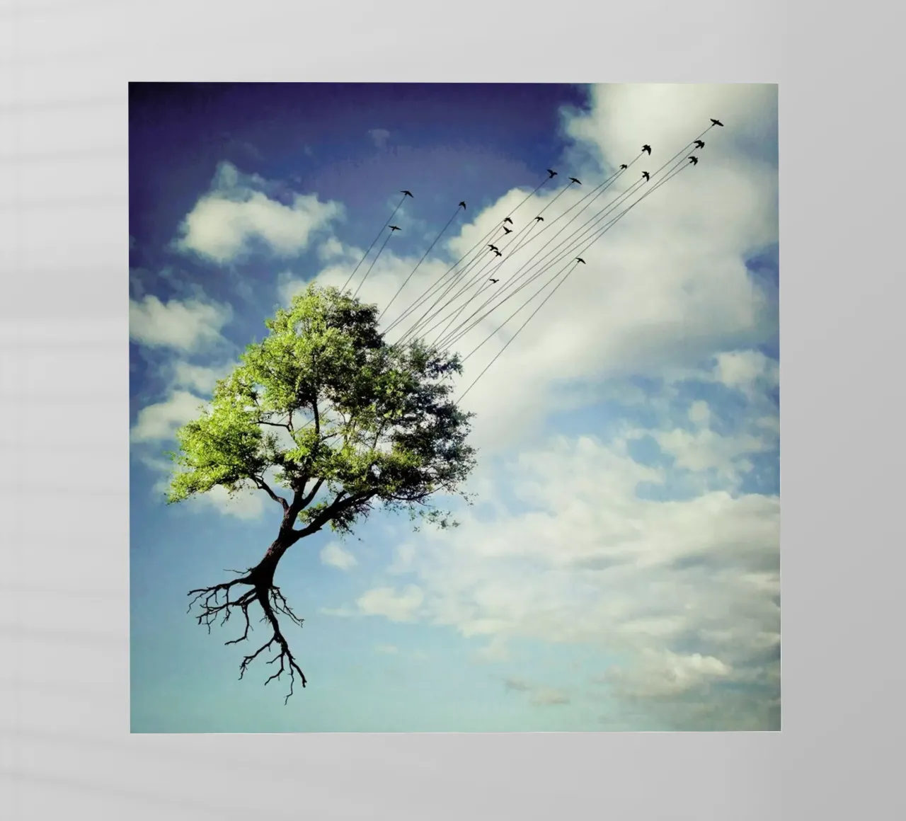 pa 2010-06 pellicola backlit da Sarolta Bán