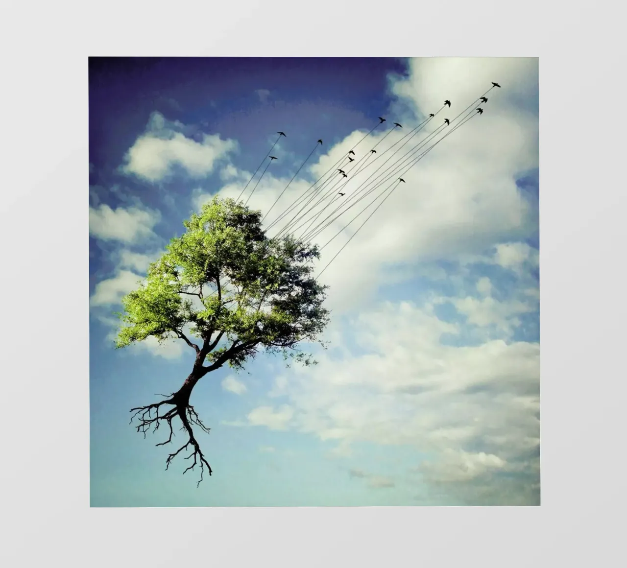 pa 2010-06 pellicola backlit da Sarolta Bán