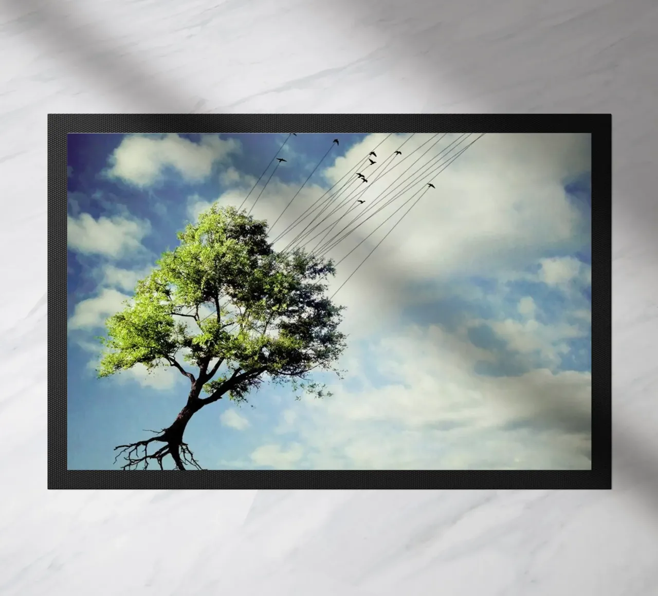 pa 2010-06 zerbino da Sarolta Bán