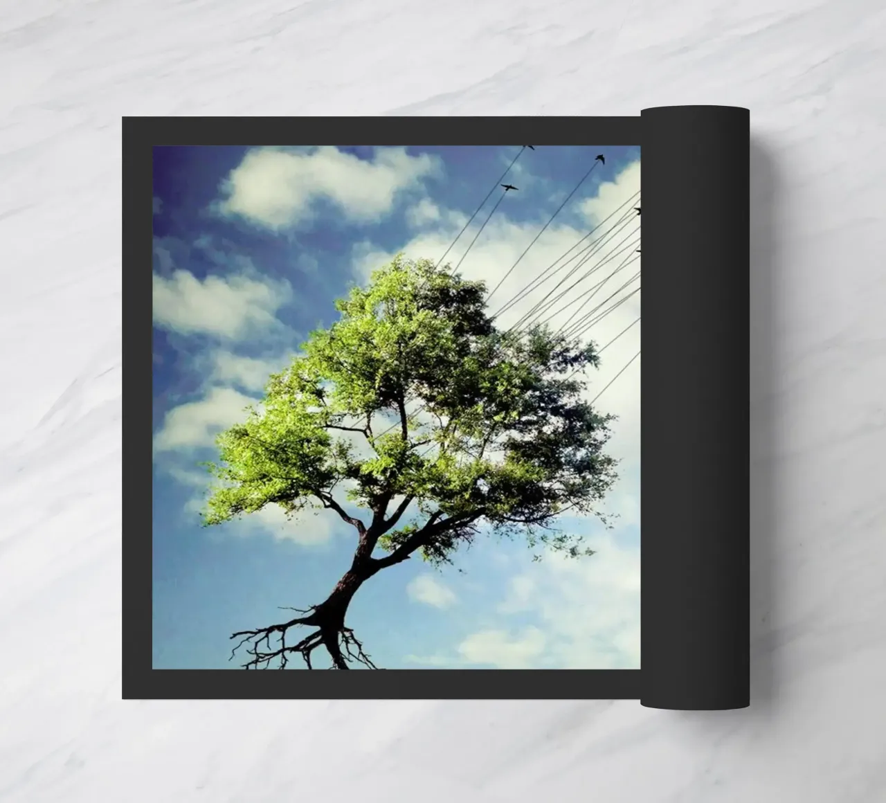 pa 2010-06 zerbino da Sarolta Bán