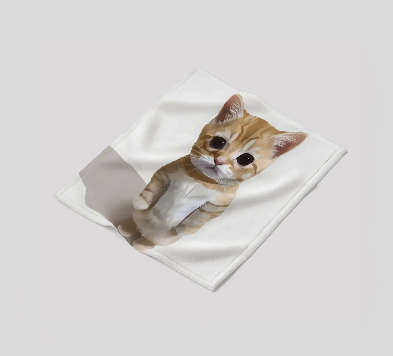 gatto gattino in piedi animale domestico coperta in pile da Paul Vasquez