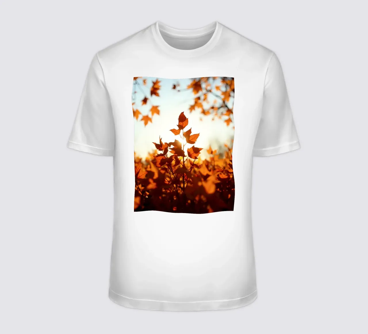 Foglie d'autunno illuminate dalla luce del sole in un ambiente tranquillo. t-shirt da DesignDoodle