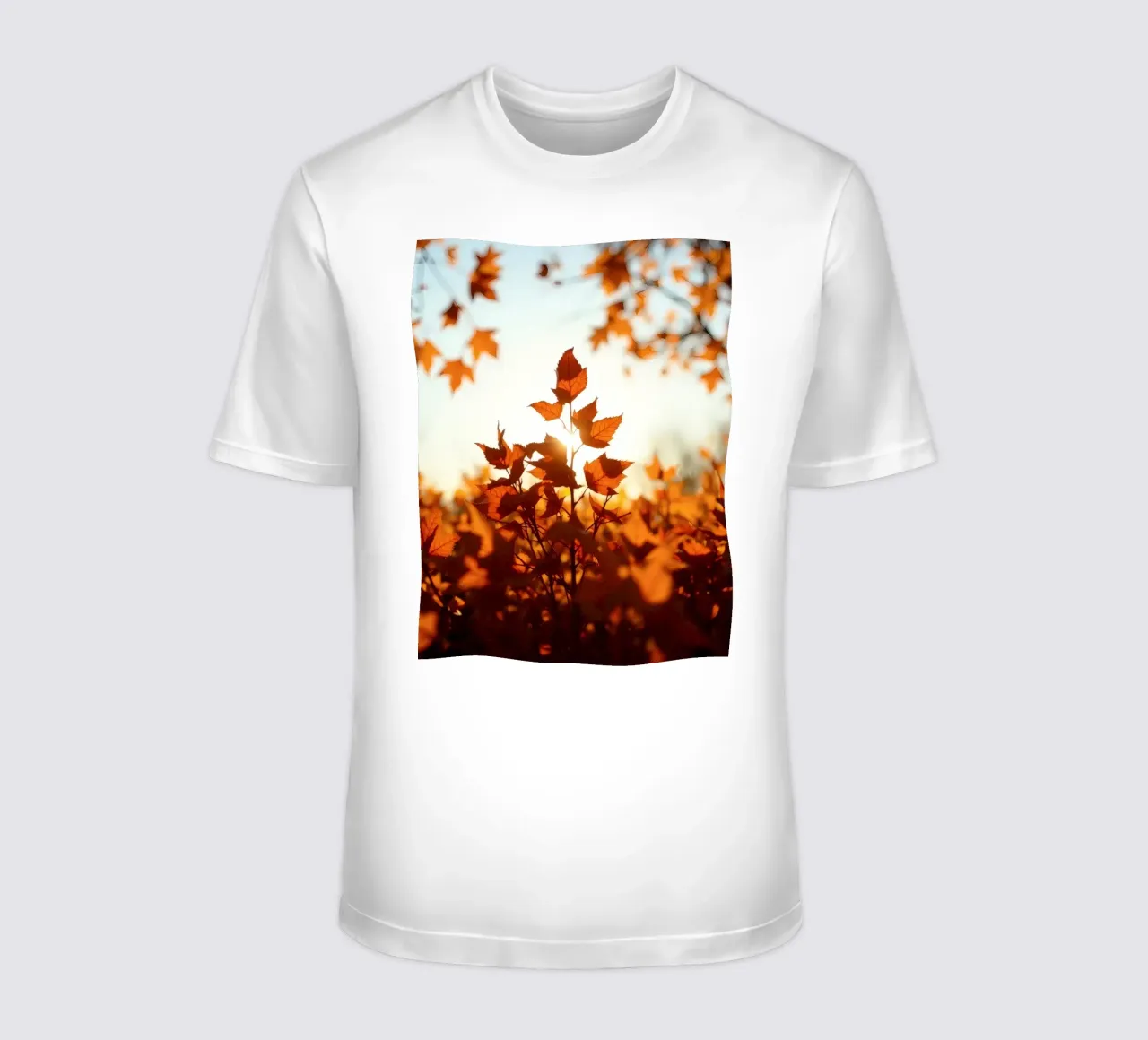 Foglie d'autunno illuminate dalla luce del sole in un ambiente tranquillo. t-shirt da DesignDoodle