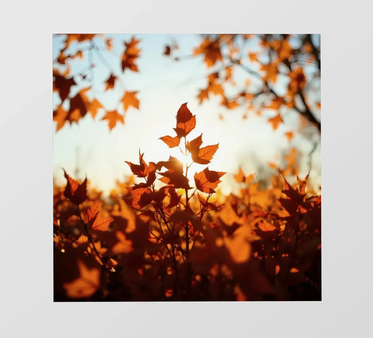 Foglie d'autunno illuminate dalla luce del sole in un ambiente tranquillo. telo in pvc da DesignDoodle