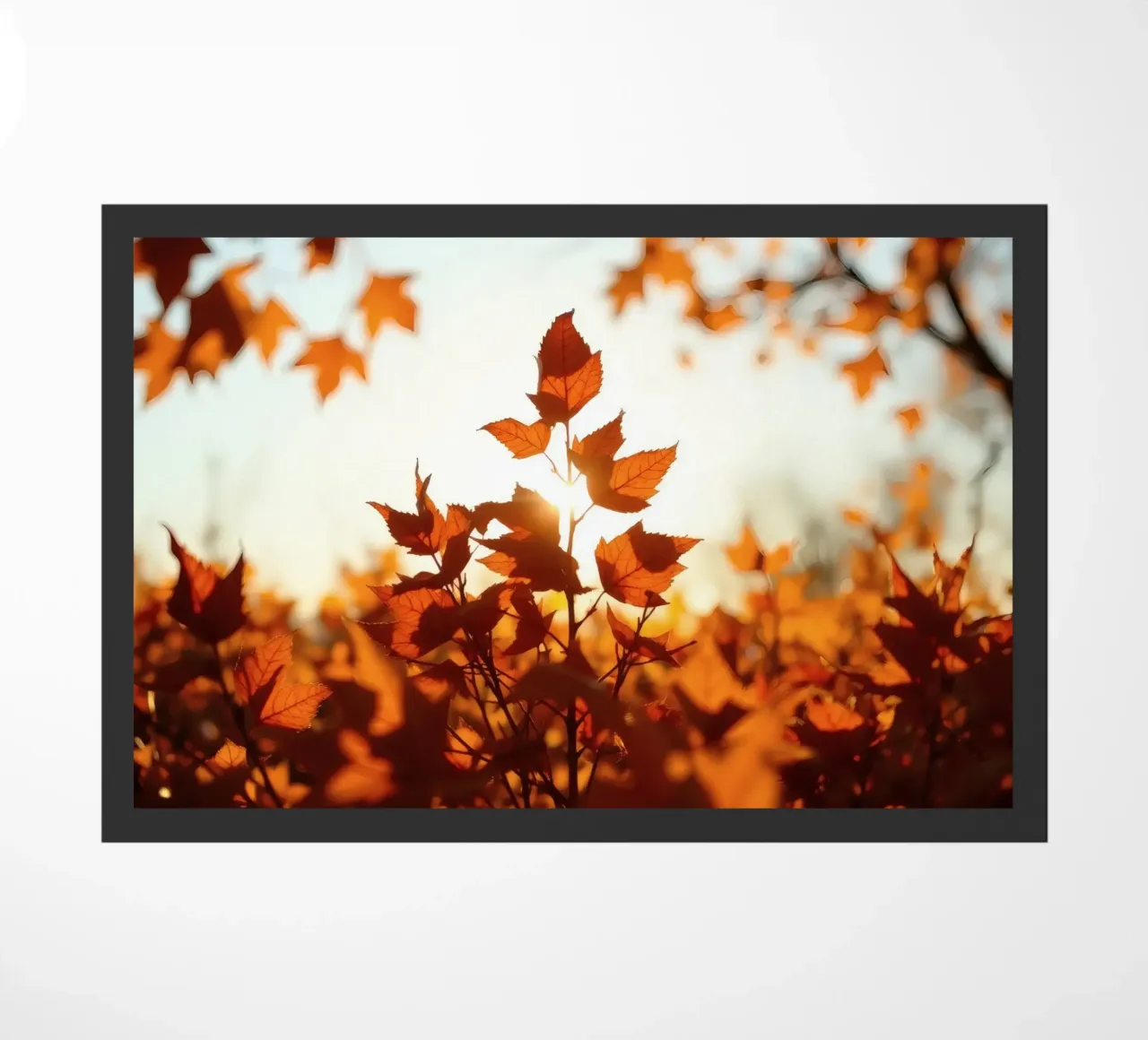 Foglie d'autunno illuminate dalla luce del sole in un ambiente tranquillo. zerbino da DesignDoodle