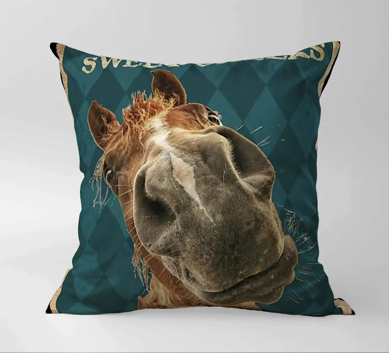 cavallo ciao guance dolci siediti cuscino da Aaronshop