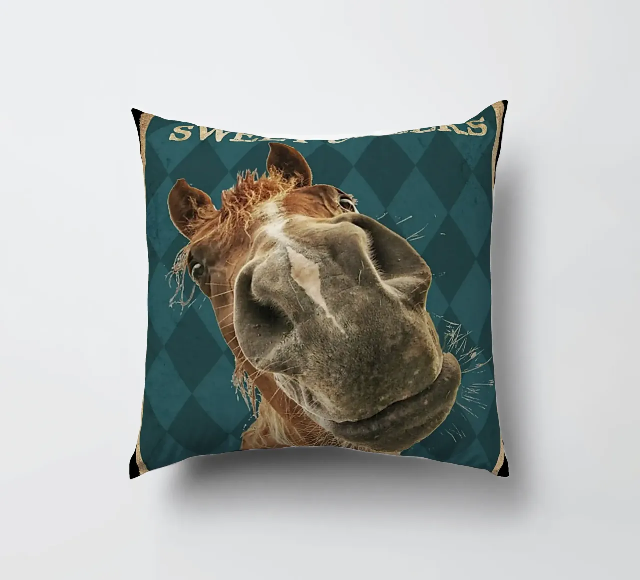 cavallo ciao guance dolci siediti cuscino da Aaronshop
