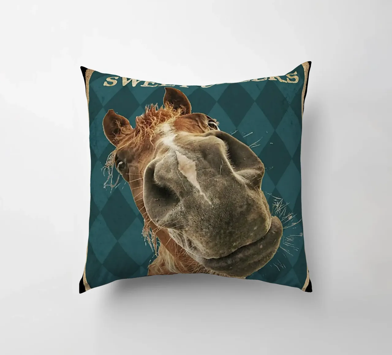 cavallo ciao guance dolci siediti cuscino da Aaronshop
