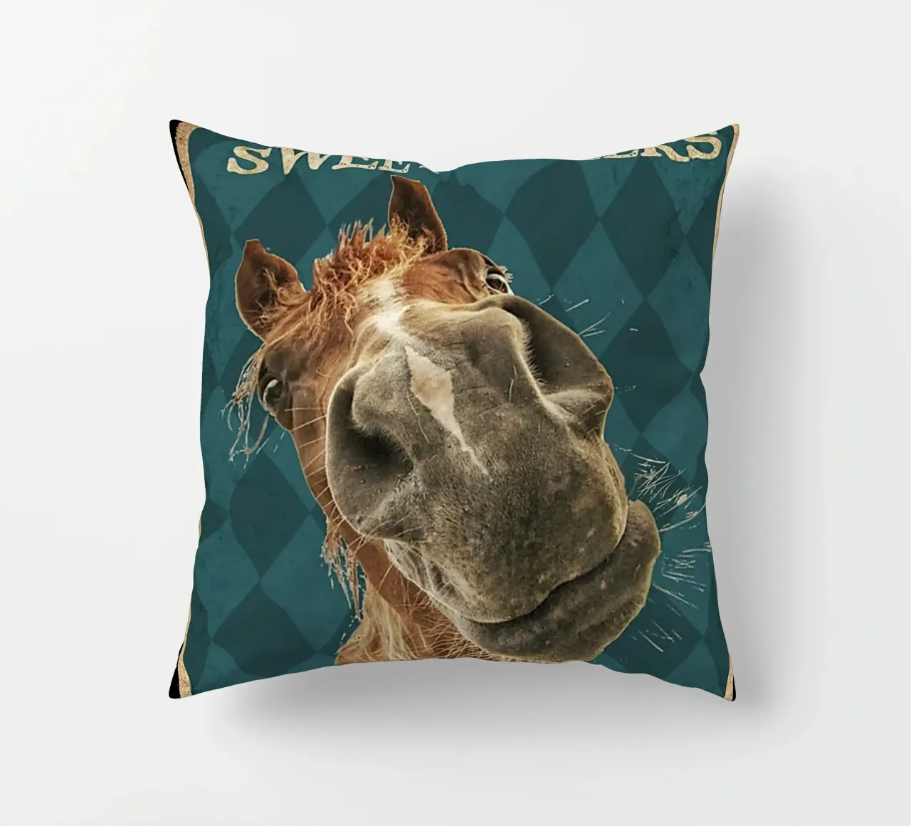 cavallo ciao guance dolci siediti cuscino da Aaronshop