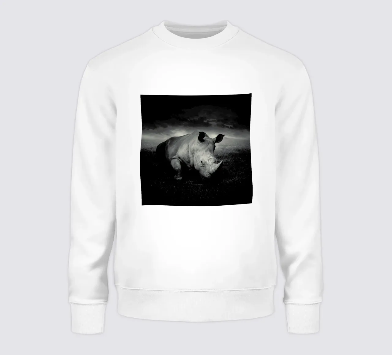 pa 2011-19 sweatshirt van Sarolta Bán