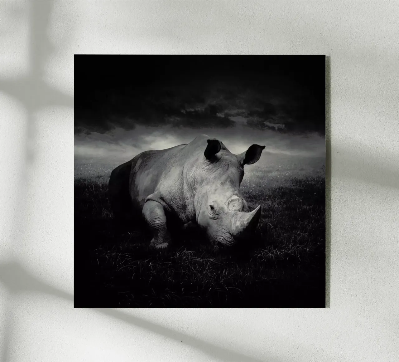 pa 2011-19 plexiglass da Sarolta Bán