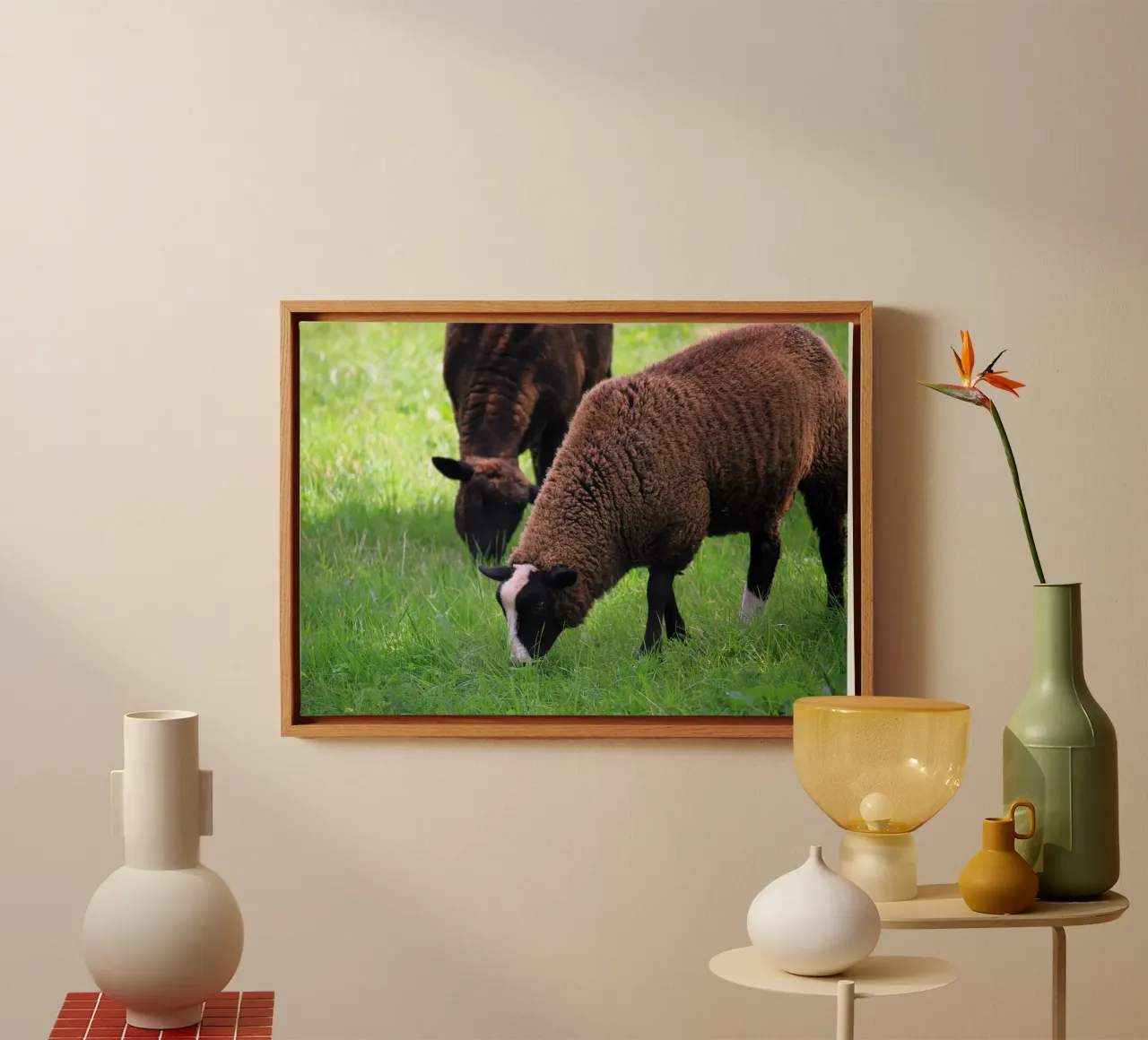 Schapen grazen in een weide Foto canvas met Baklijst van Jack C Photography