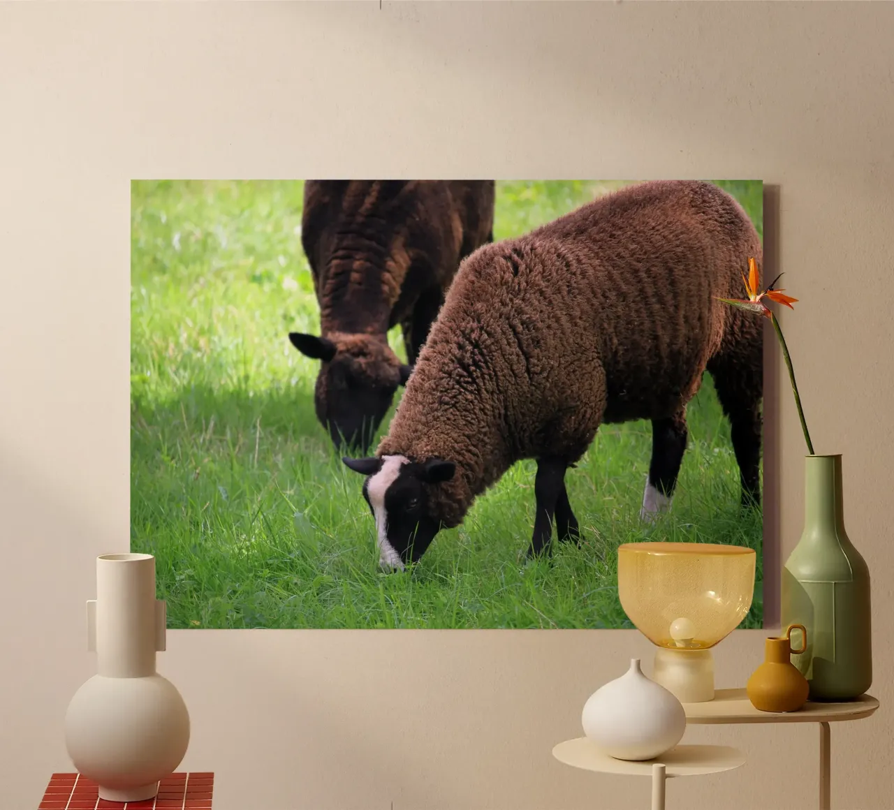 Schapen grazen in een weide Foto canvas met Baklijst van Jack C Photography