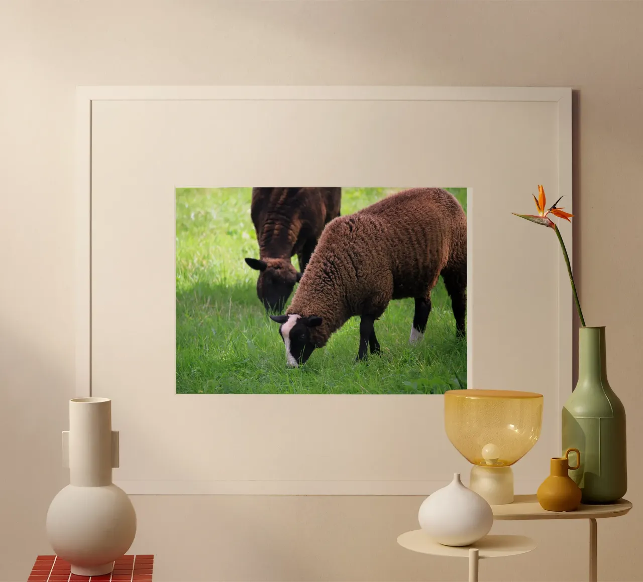 Pecore al pascolo in un prato foto poster con telaio in alluminio da Jack C Photography