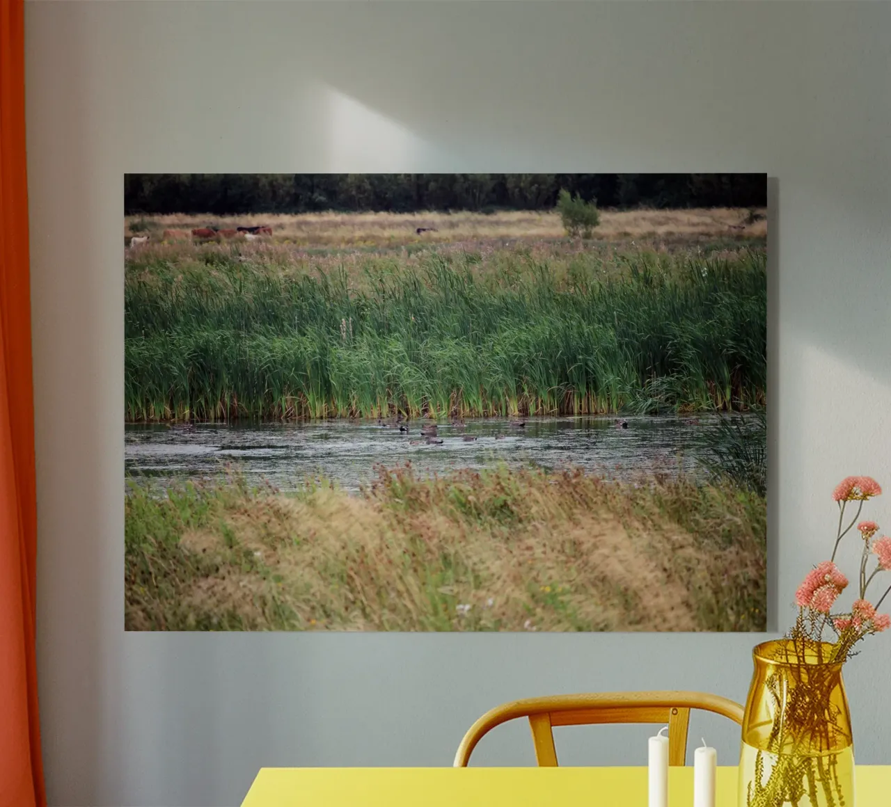 Paesaggio umido con canne e anatre plexiglass da Jack C Photography