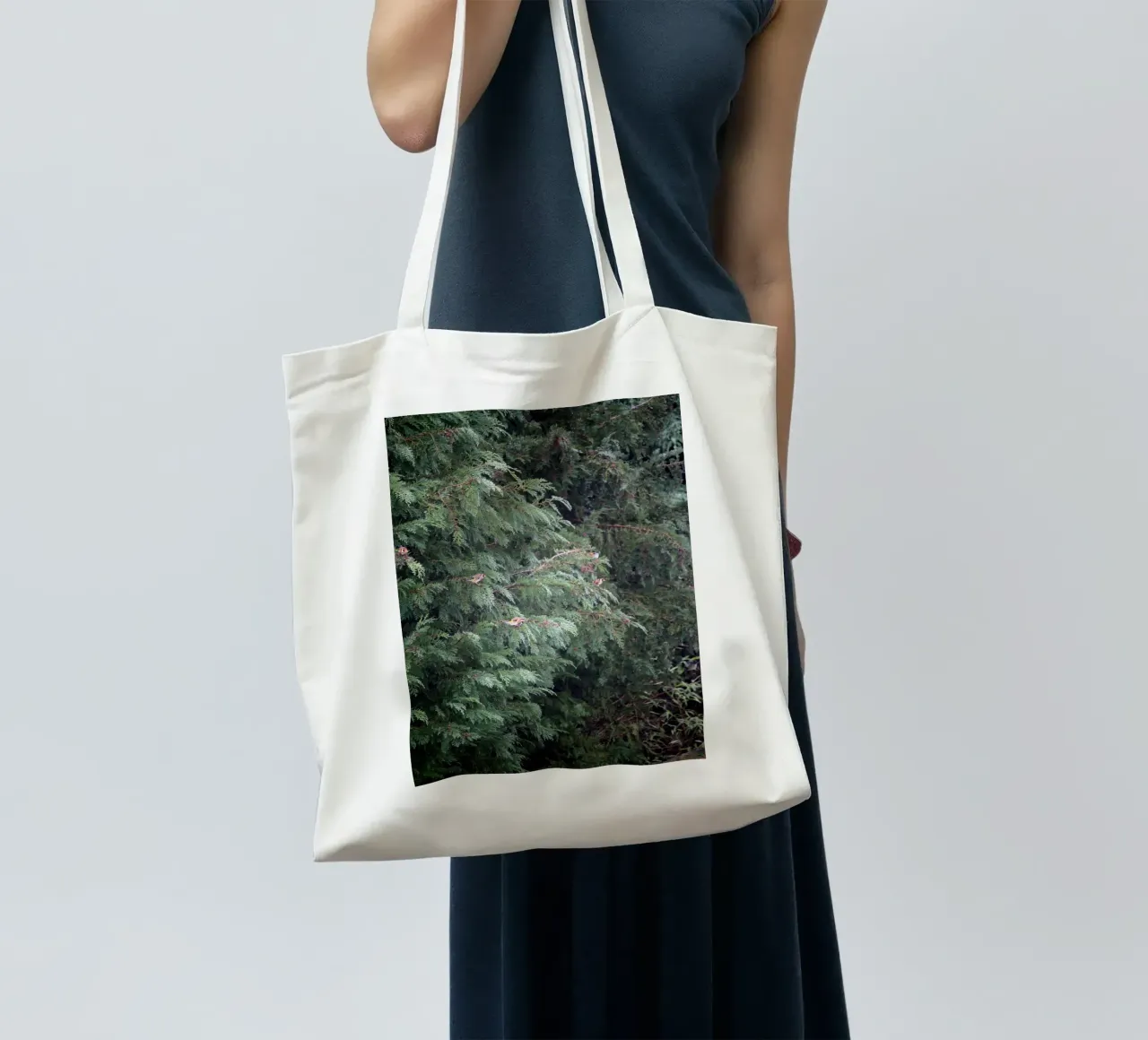 Cardellini su un albero di conifere borsa in juta da Jack C Photography