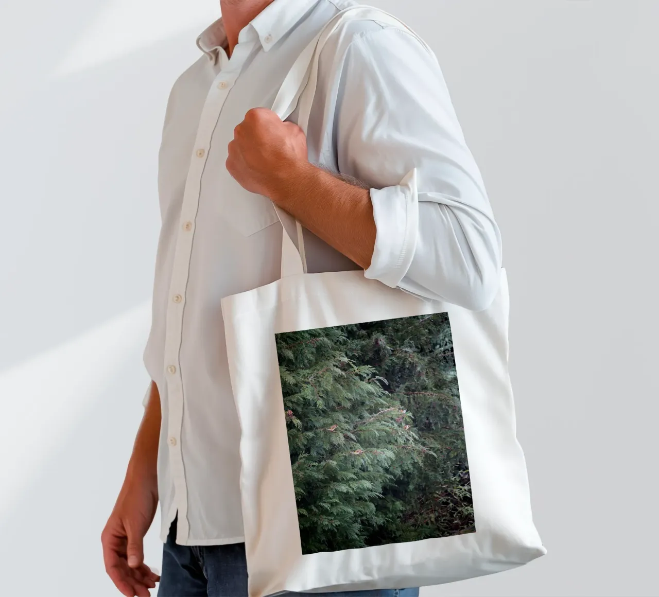 Cardellini su un albero di conifere borsa in juta da Jack C Photography