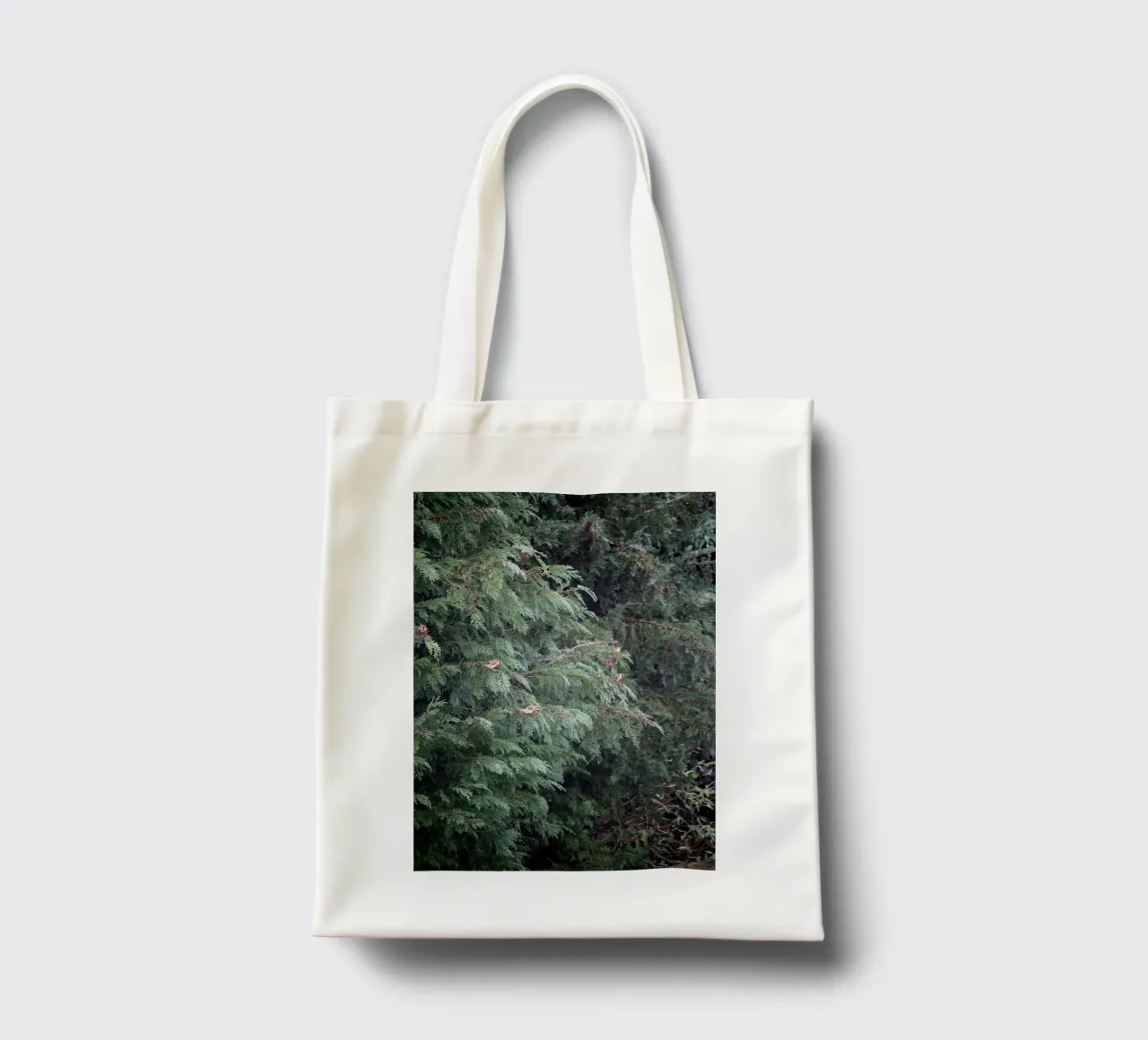 Cardellini su un albero di conifere borsa in juta da Jack C Photography