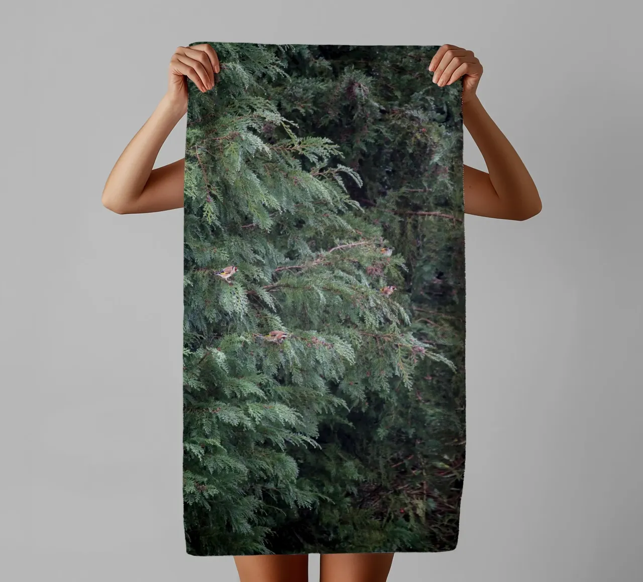 Cardellini su un albero di conifere asciugamano da bagno da Jack C Photography