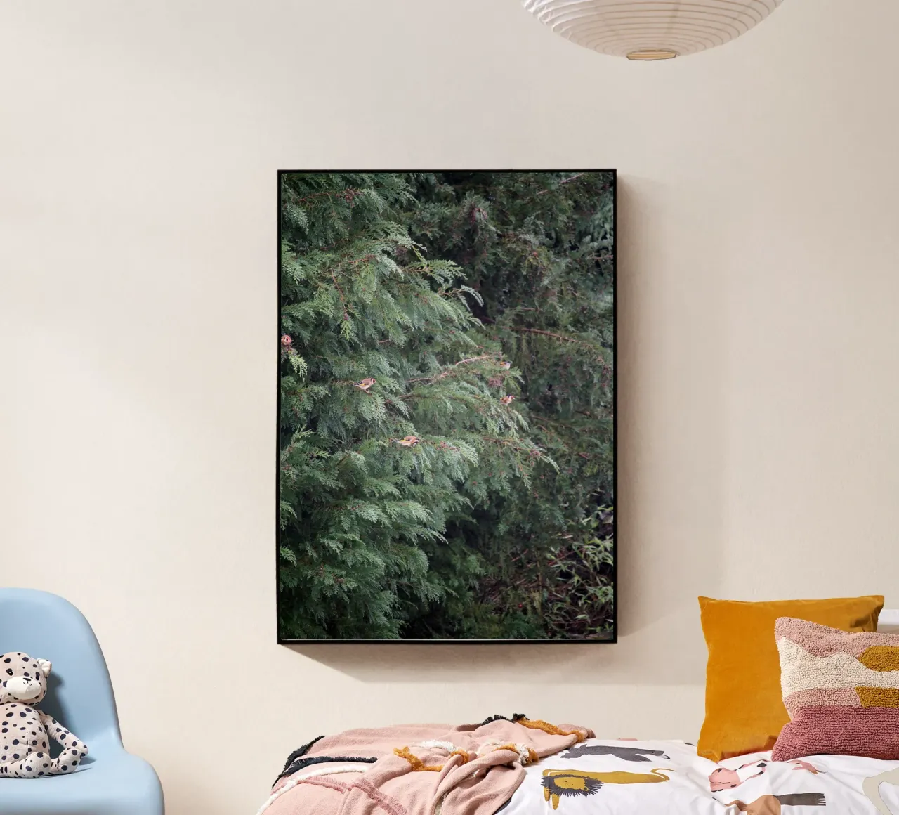 Cardellini su un albero di conifere plexiglass da Jack C Photography