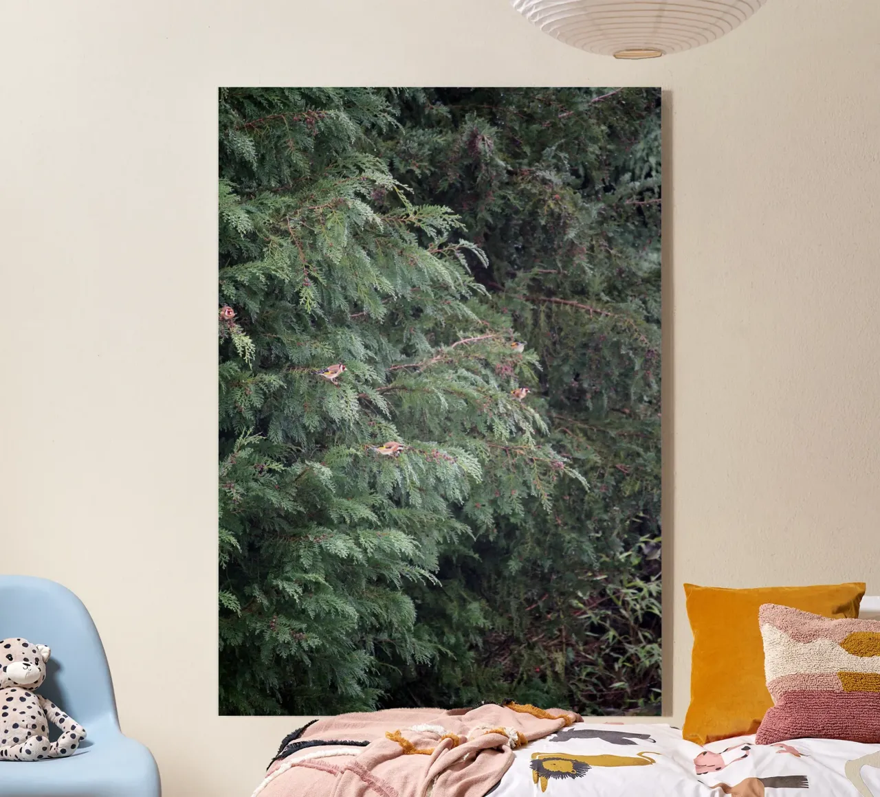 Cardellini su un albero di conifere plexiglass da Jack C Photography