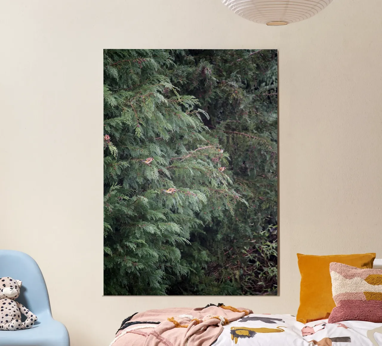 Cardellini su un albero di conifere alluminio dibond da Jack C Photography
