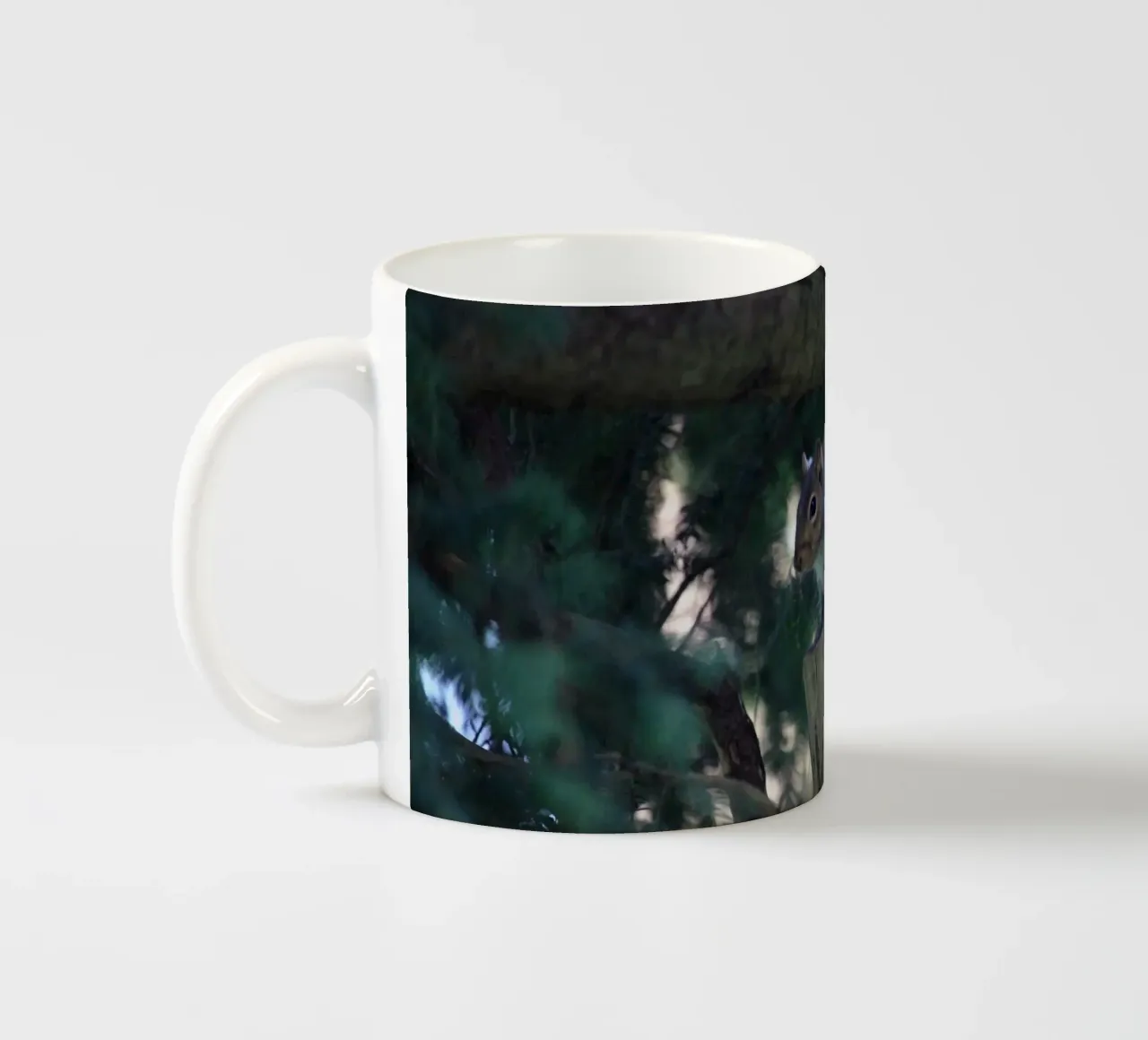 Scoiattolo appollaiato su un albero tazza in ceramica da Jack C Photography