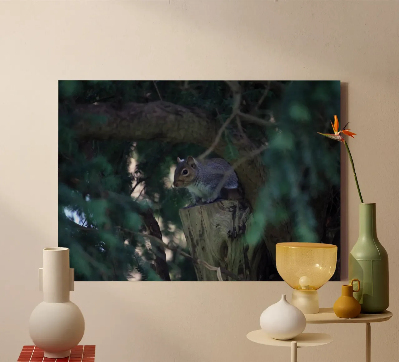 Squirrel Perched in a Tree canvas by Jack C Photography