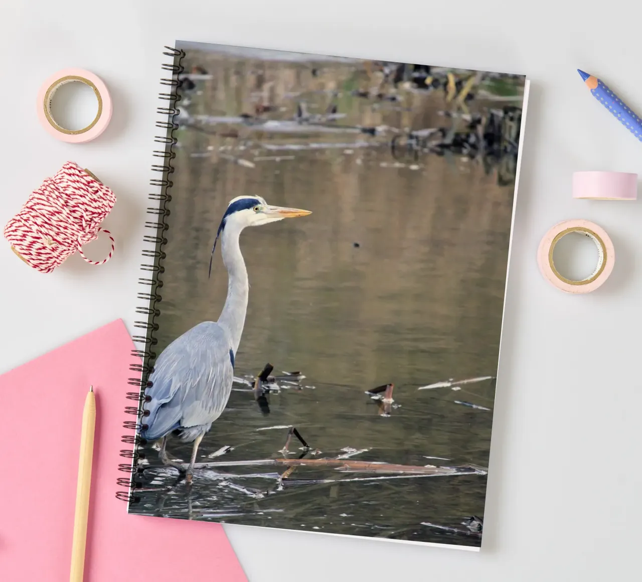 Heron Searching for Fish in a Pond spiral notebook by Jack C Photography