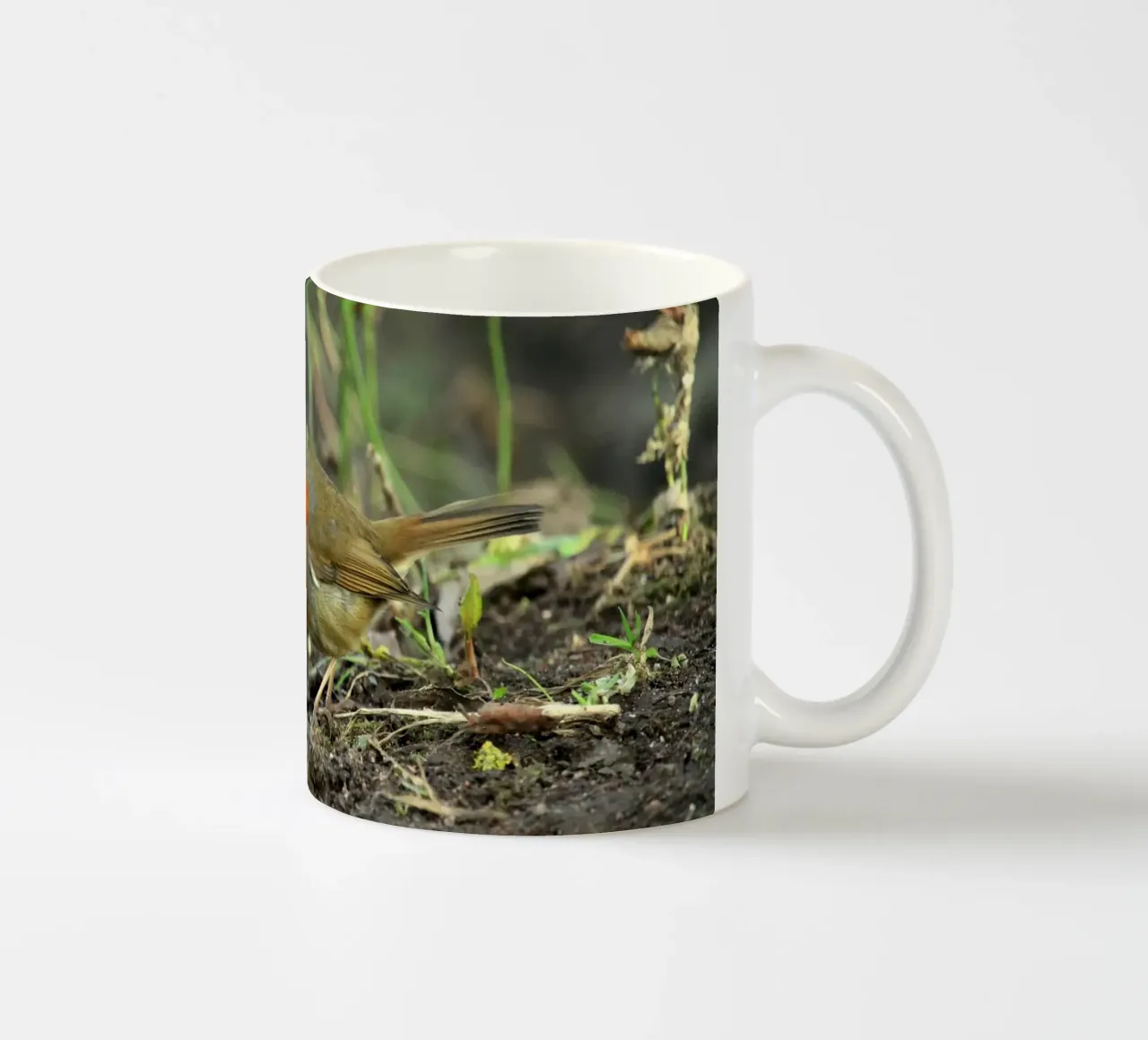 Pettirosso sul suolo della foresta tazza in ceramica da Jack C Photography