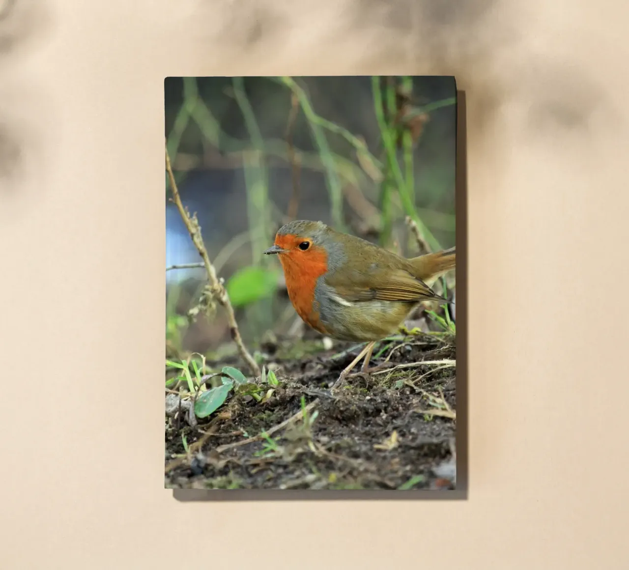 Robin on the Forest Floor notebook by Jack C Photography