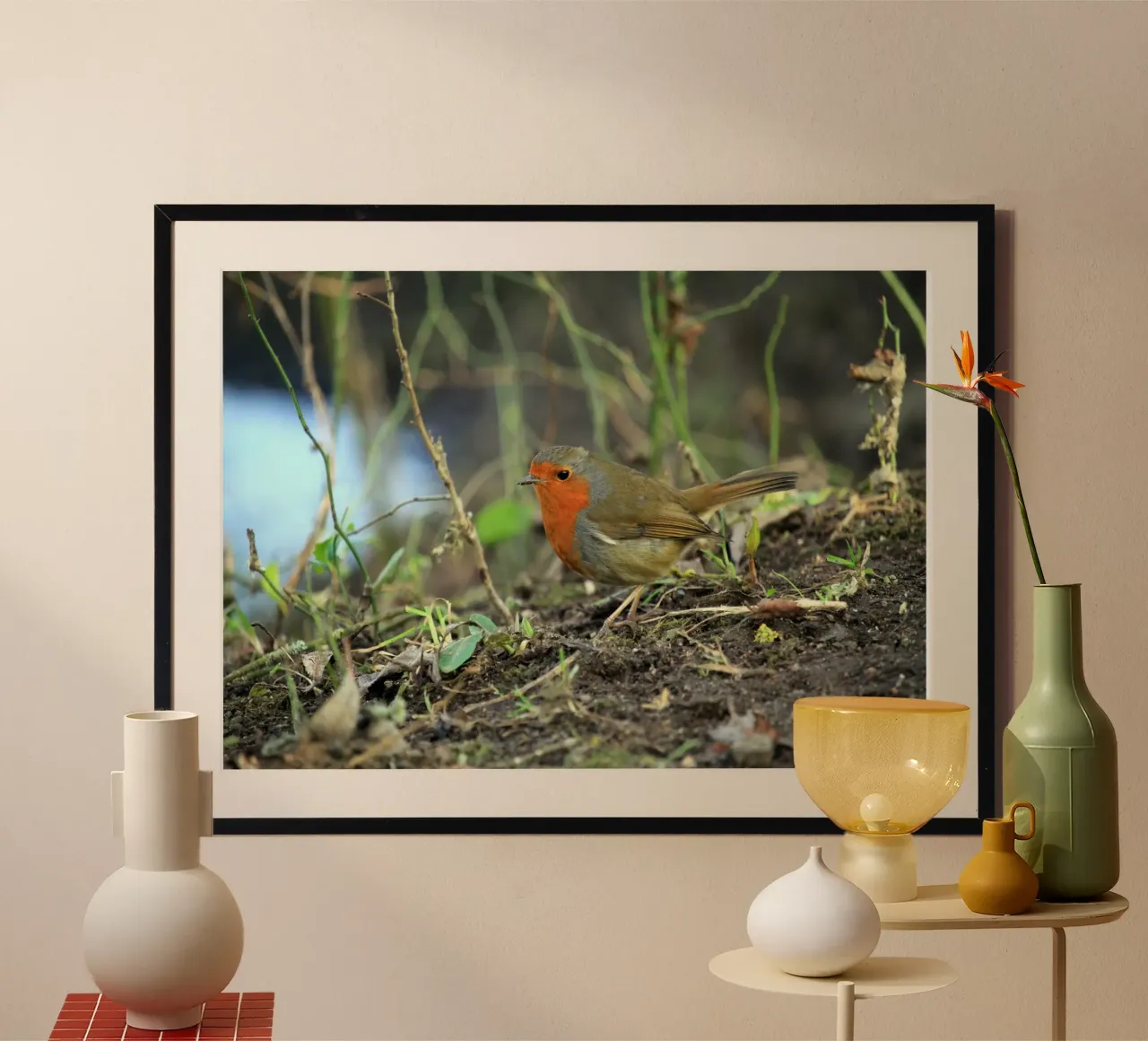 Robin on the Forest Floor hahnemühle by Jack C Photography
