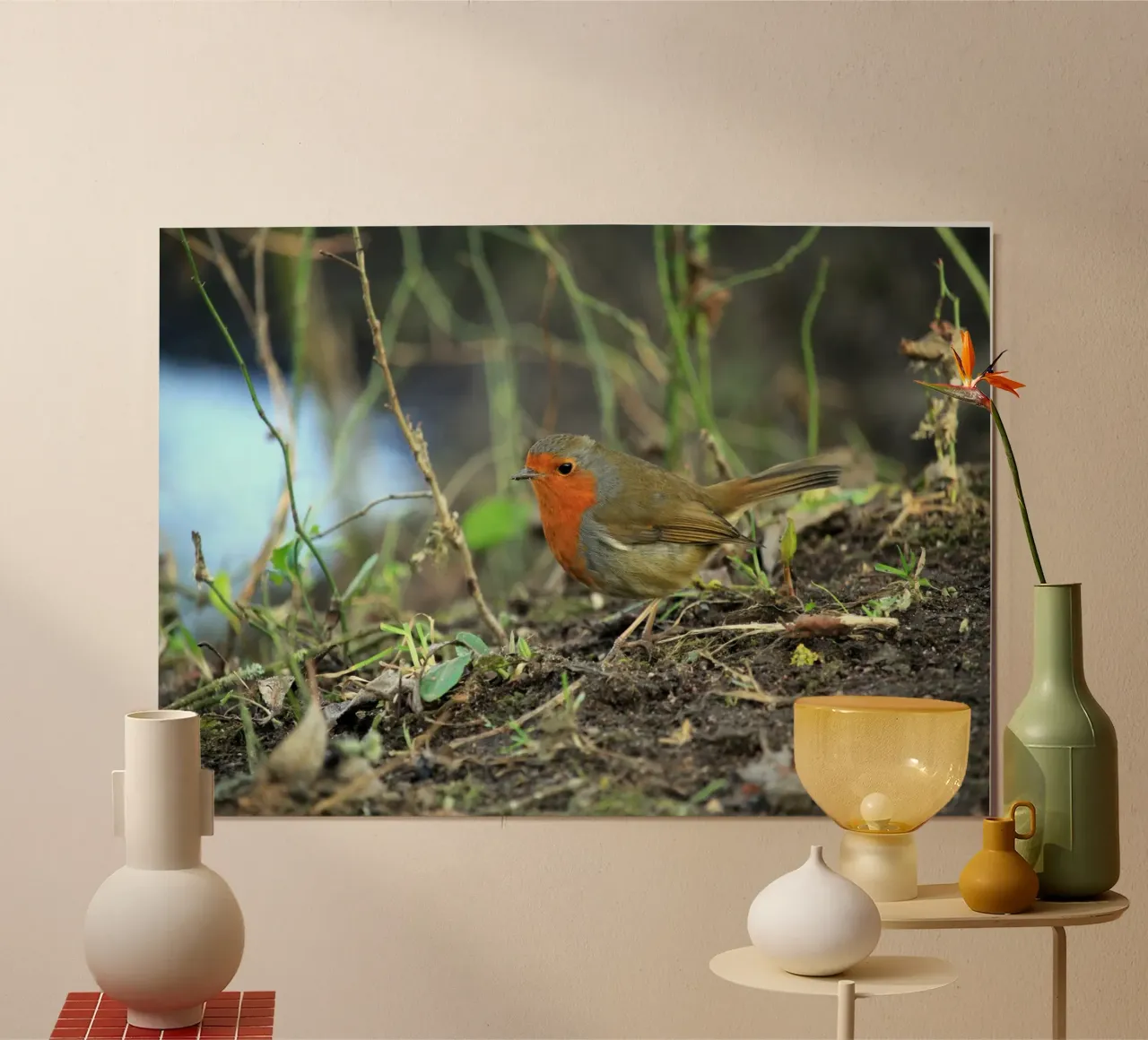 Robin on the Forest Floor hahnemühle by Jack C Photography