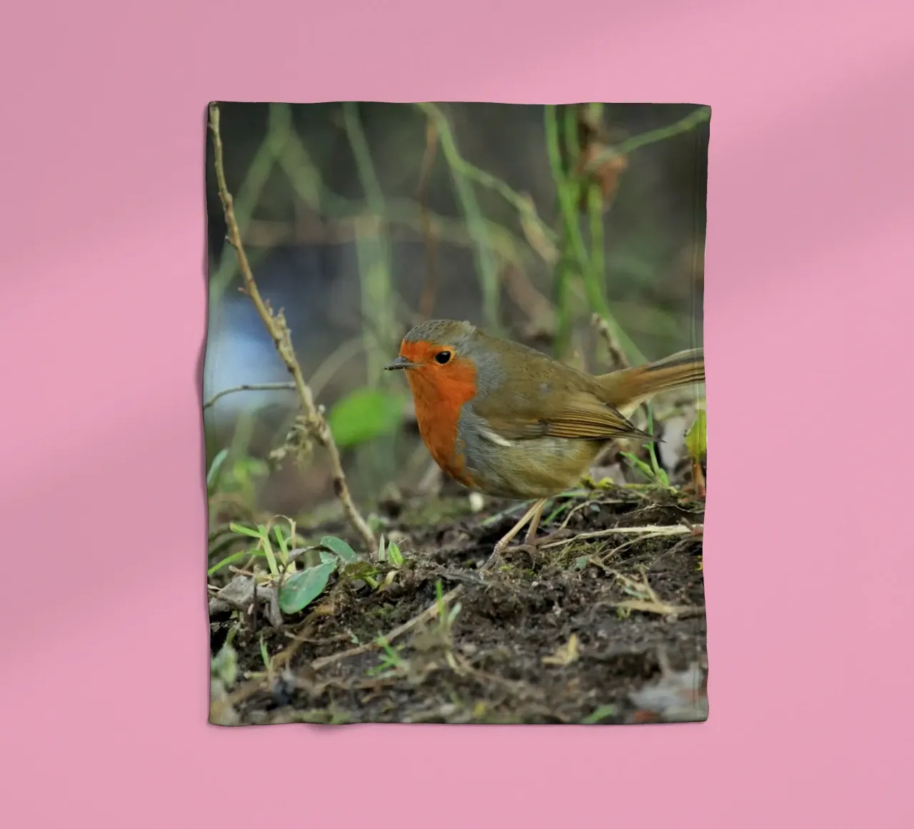 Robin on the Forest Floor fleece blanket by Jack C Photography