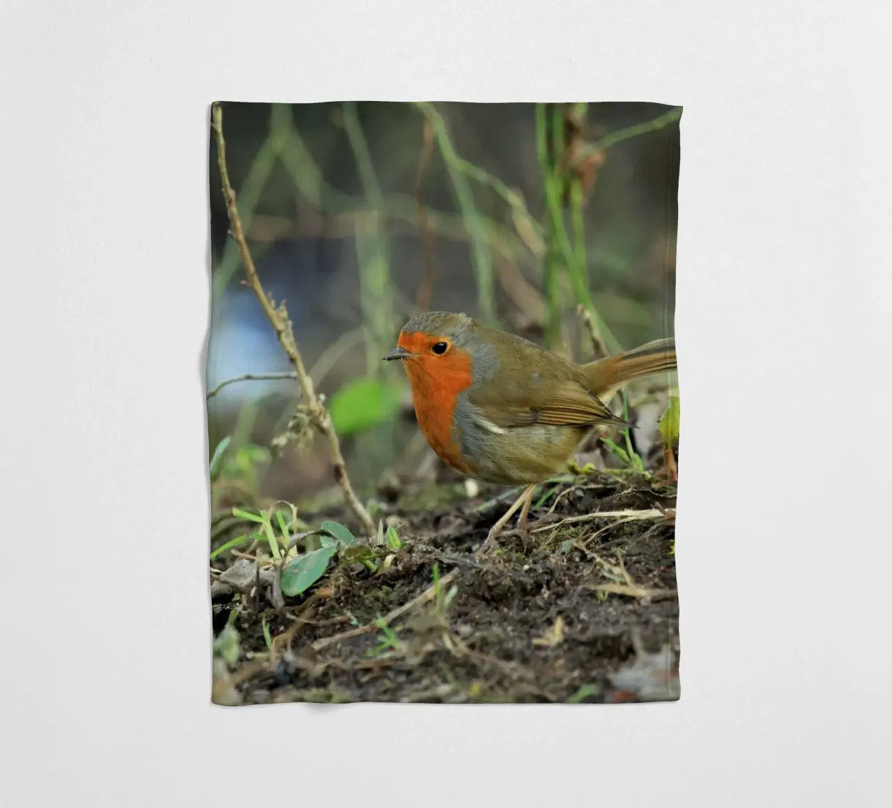 Robin on the Forest Floor fleece blanket by Jack C Photography